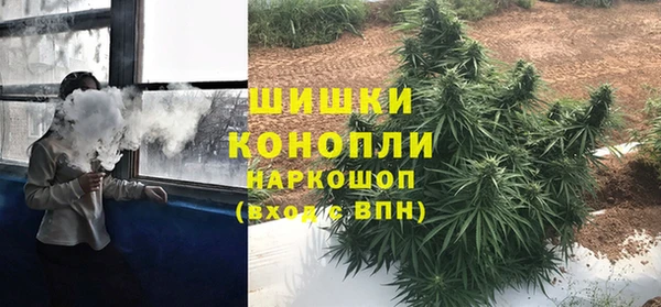 ГАЛЛЮЦИНОГЕННЫЕ ГРИБЫ Беломорск