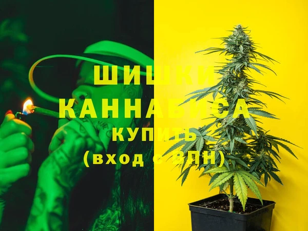 спиды Богданович