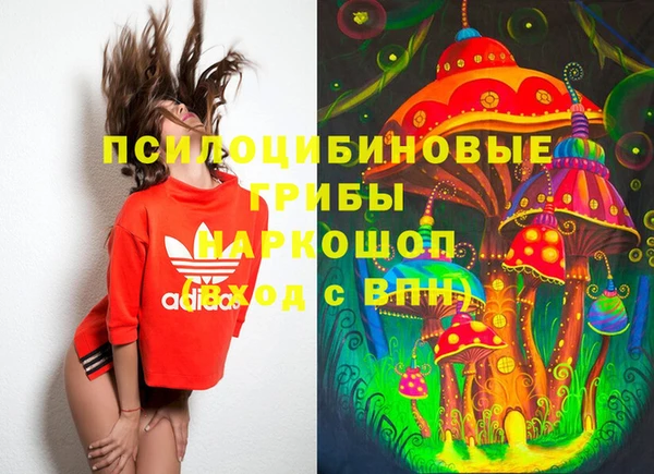 MDMA Богородицк