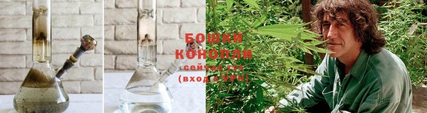 ГАЛЛЮЦИНОГЕННЫЕ ГРИБЫ Беломорск