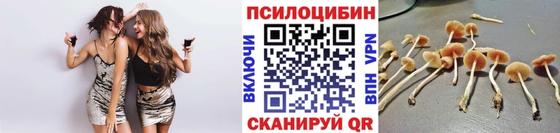 Галлюциногенные грибы Magic Shrooms  сколько стоит  MEGA онион  Белоярский 